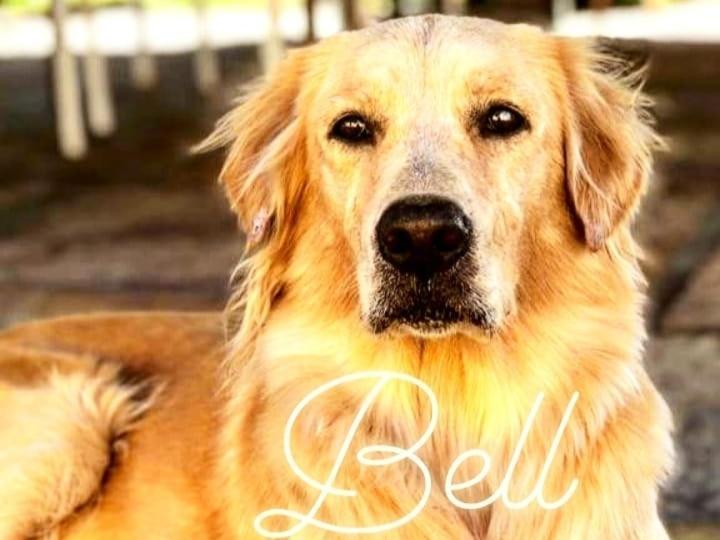 Pousada Da Bell Barreirinhas Luaran gambar